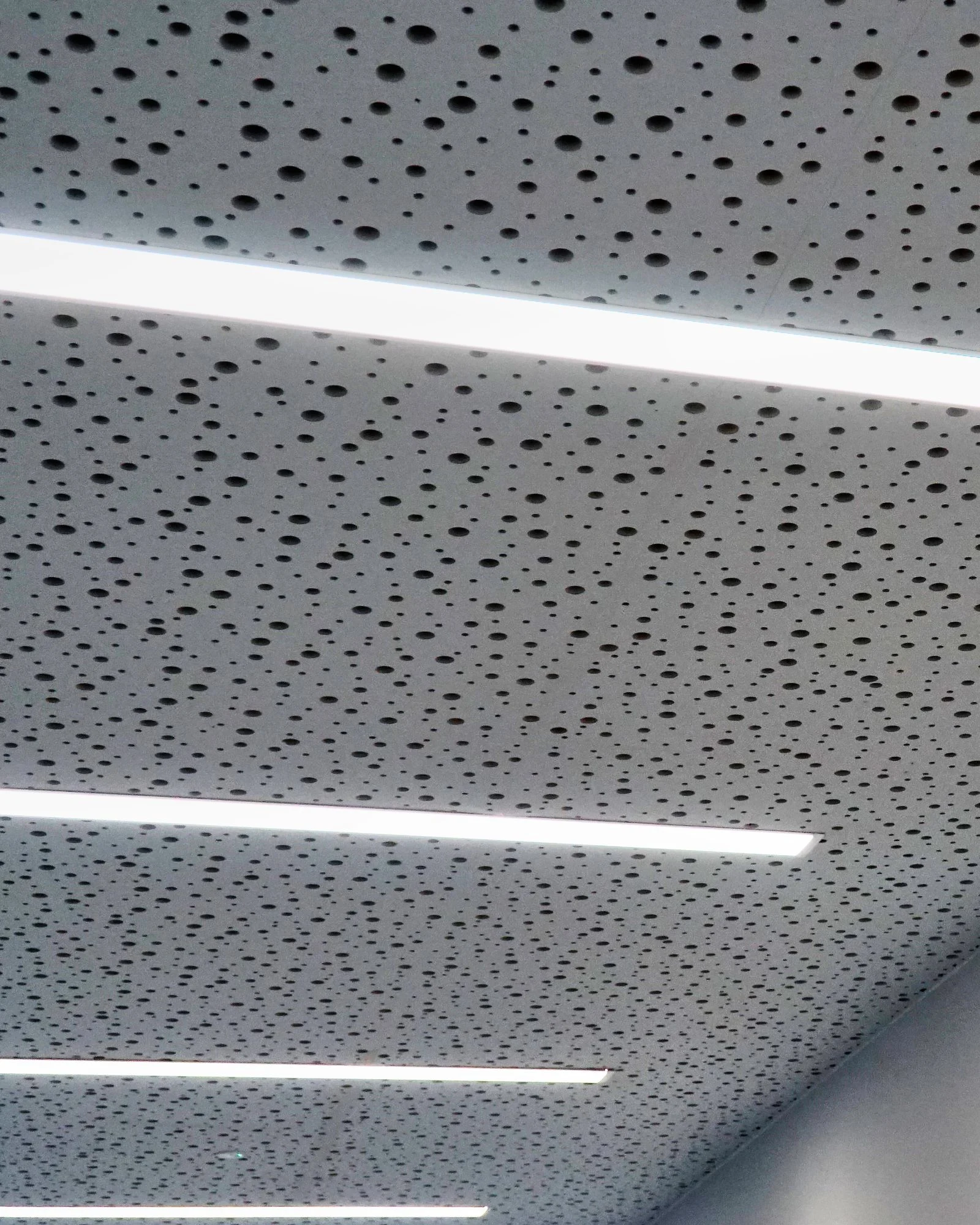 Perforated acoustic plasterboard ceiling with a random pattern of round holes and linear lights at Greater Brighton Metropolitan College